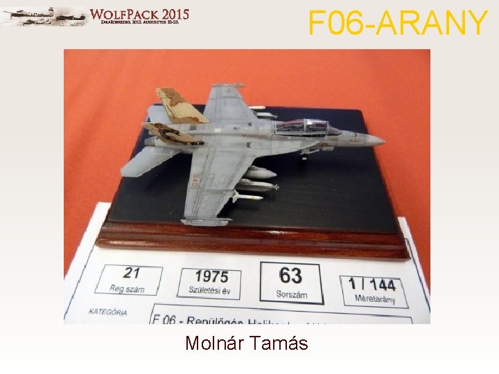 F 06 -ARANY Molnár Tamás 