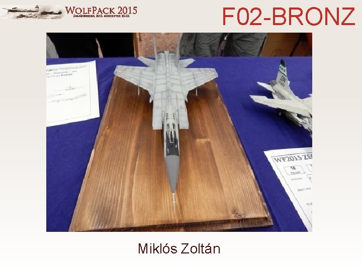 F 02 -BRONZ Miklós Zoltán 