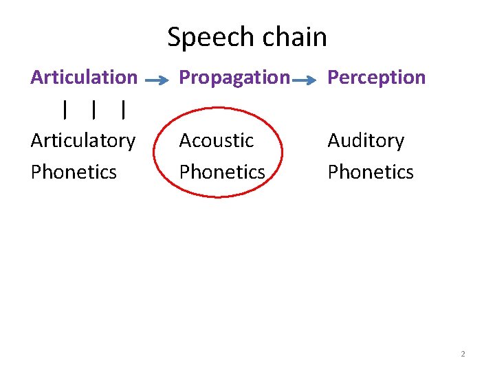 Speech chain Articulation | | | Articulatory Phonetics Propagation Perception Acoustic Phonetics Auditory Phonetics