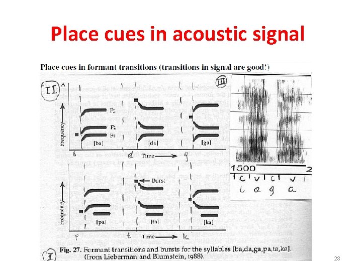 Place cues in acoustic signal 28 