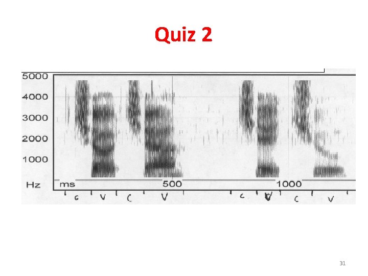 Quiz 2 31 