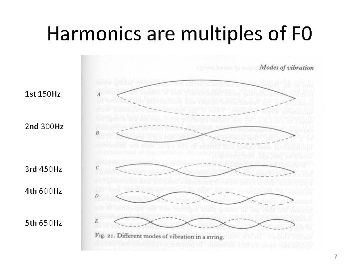 Harmonics are multiples of F 0 1 st 150 Hz 2 nd 300 Hz