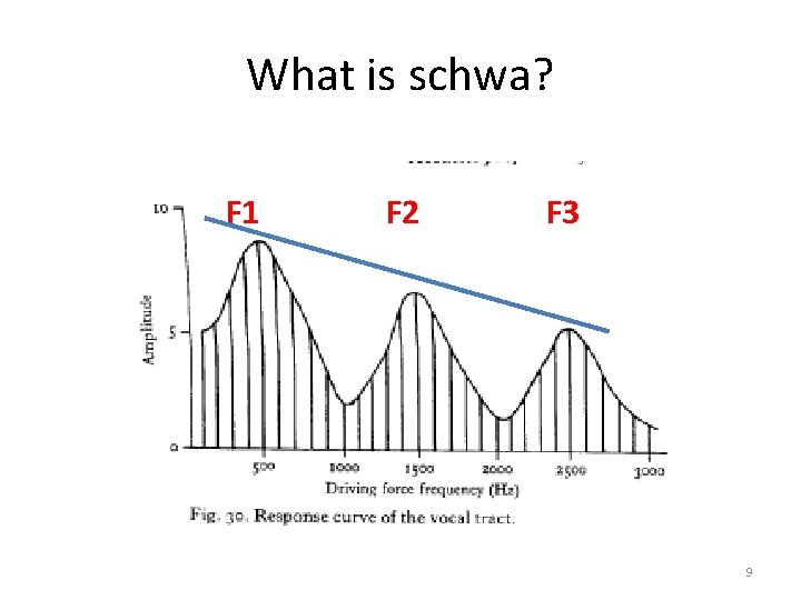 What is schwa? F 1 F 2 F 3 9 