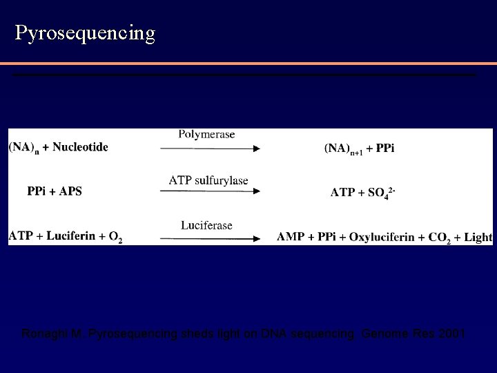 Pyrosequencing Ronaghi M. Pyrosequencing sheds light on DNA sequencing. Genome Res 2001 