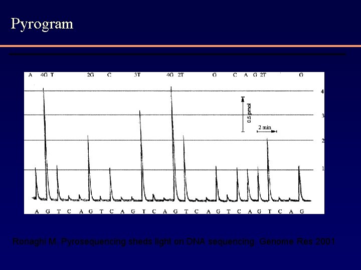 Pyrogram Ronaghi M. Pyrosequencing sheds light on DNA sequencing. Genome Res 2001 