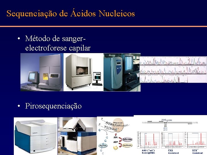Sequenciação de Ácidos Nucleicos • Método de sangerelectroforese capilar • Pirosequenciação 