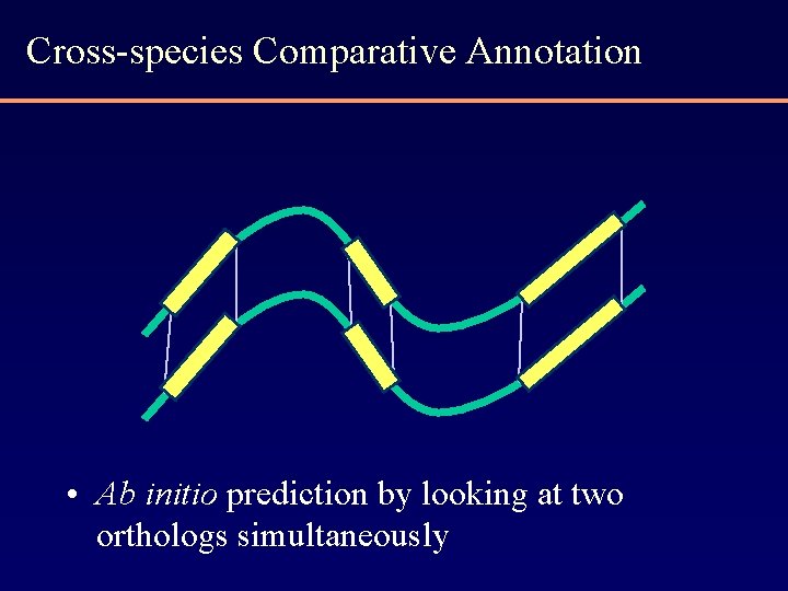 Cross-species Comparative Annotation • Ab initio prediction by looking at two orthologs simultaneously 