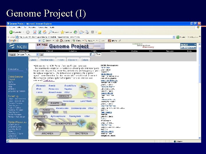 Genome Project (I) 