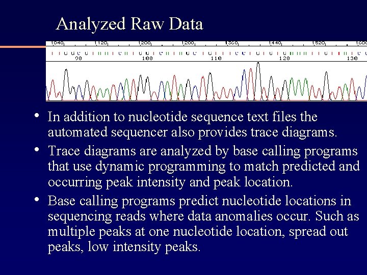 Analyzed Raw Data • In addition to nucleotide sequence text files the • •