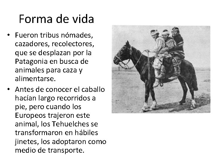 Forma de vida • Fueron tribus nómades, cazadores, recolectores, que se desplazan por la
