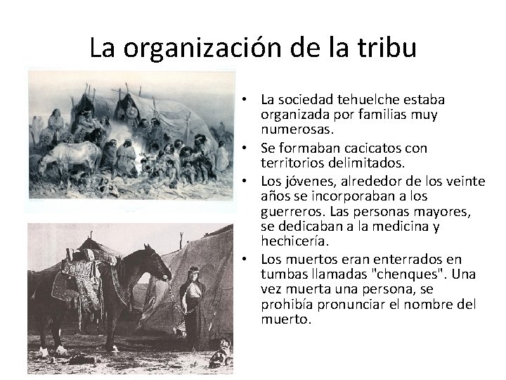 La organización de la tribu • La sociedad tehuelche estaba organizada por familias muy