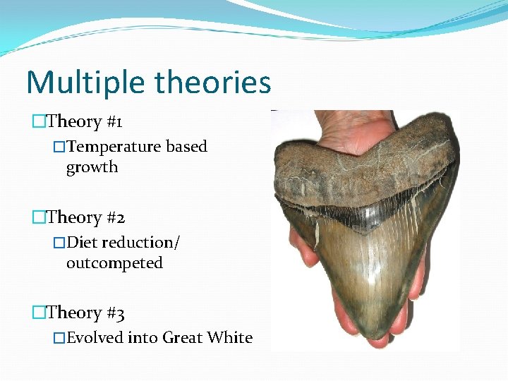 Multiple theories �Theory #1 �Temperature based growth �Theory #2 �Diet reduction/ outcompeted �Theory #3