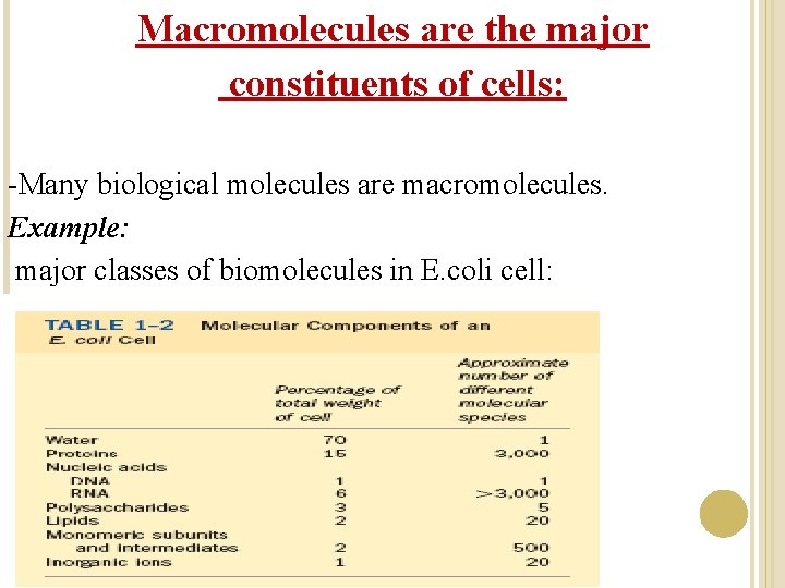 Macromolecules are the major constituents of cells: -Many biological molecules are macromolecules. Example: major Macromolecules are the major constituents of cells: -Many biological molecules are macromolecules. Example: major