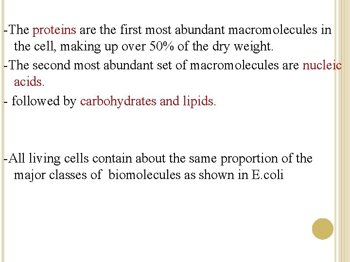 -The proteins are the first most abundant macromolecules in the cell, making up over -The proteins are the first most abundant macromolecules in the cell, making up over