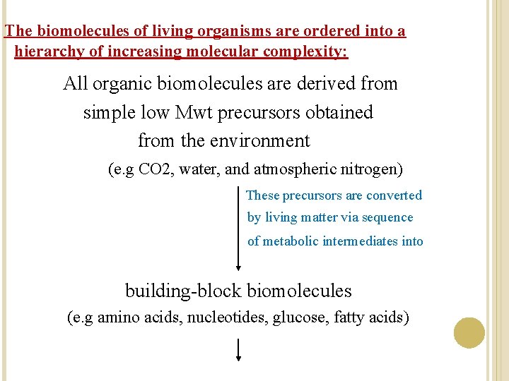 The biomolecules of living organisms are ordered into a hierarchy of increasing molecular complexity: The biomolecules of living organisms are ordered into a hierarchy of increasing molecular complexity: