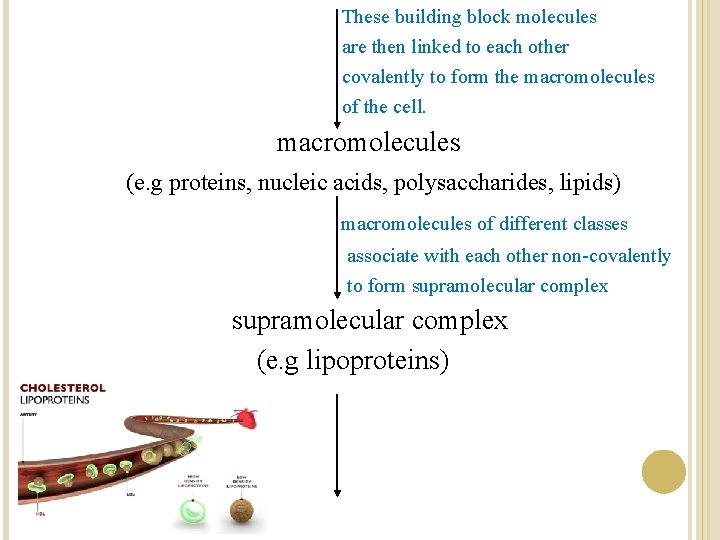 These building block molecules are then linked to each other covalently to form the These building block molecules are then linked to each other covalently to form the