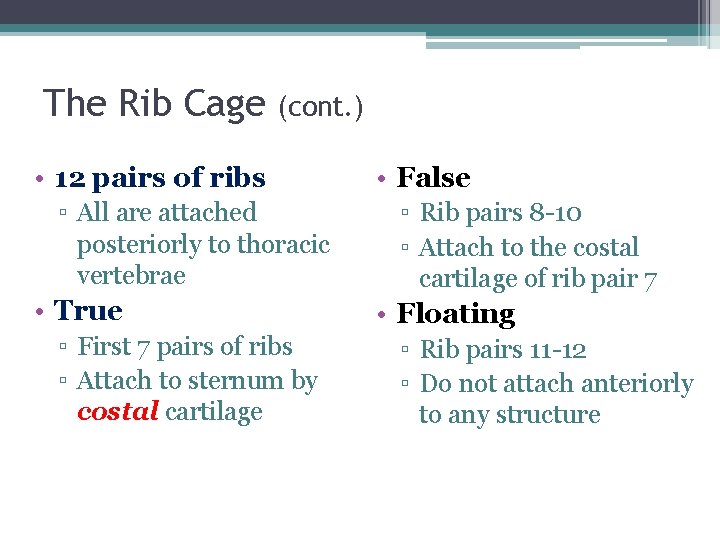 The Rib Cage (cont. ) • 12 pairs of ribs ▫ All are attached