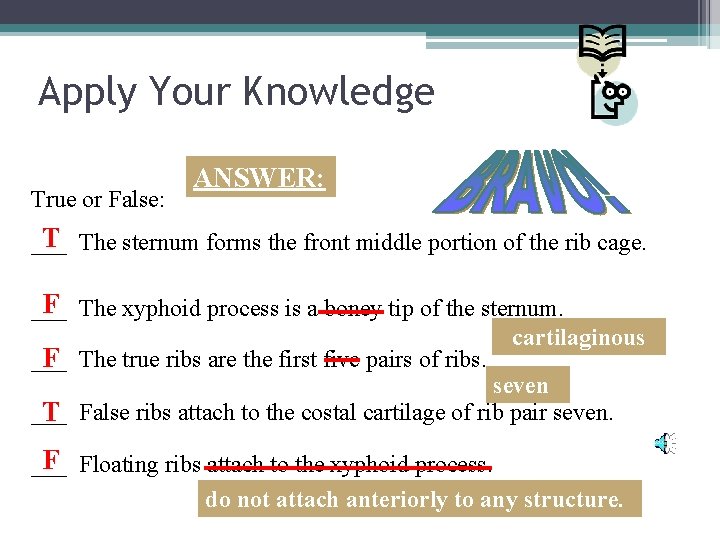 Apply Your Knowledge True or False: ANSWER: T The sternum forms the front middle