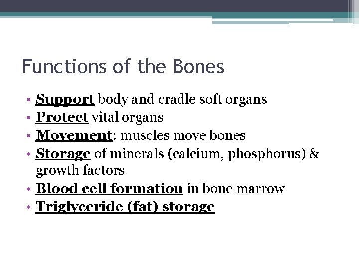 Functions of the Bones • • Support body and cradle soft organs Protect vital