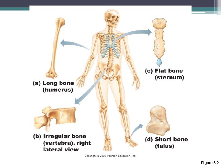 Figure 6. 2 