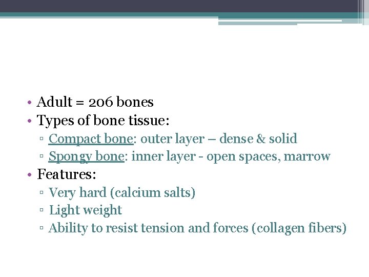  • Adult = 206 bones • Types of bone tissue: ▫ Compact bone: