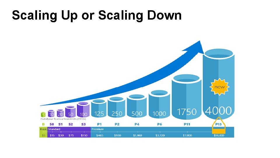 Scaling Up or Scaling Down 