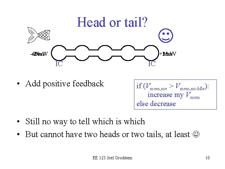 Head or tail? -20 m. V -10 m. V -65 m. V +15 m.
