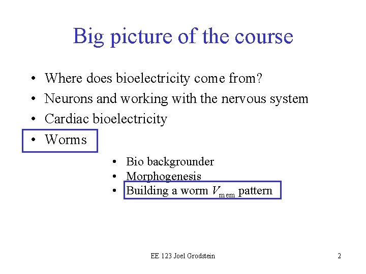 Big picture of the course • • Where does bioelectricity come from? Neurons and