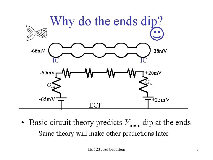 Why do the ends dip? -65 m. V -60 m. V +25 m. V