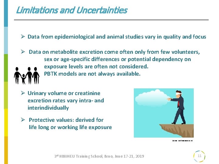 Limitations and Uncertainties Ø Data from epidemiological and animal studies vary in quality and
