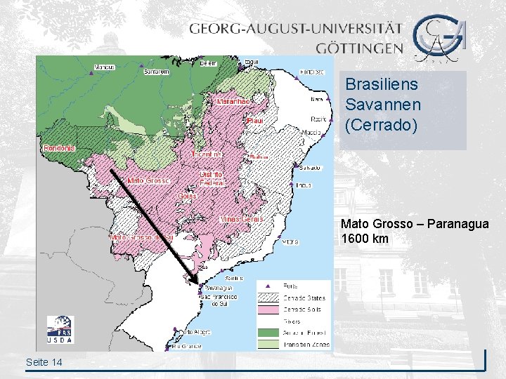 Brasiliens Savannen (Cerrado) Mato Grosso – Paranagua 1600 km Seite 14 