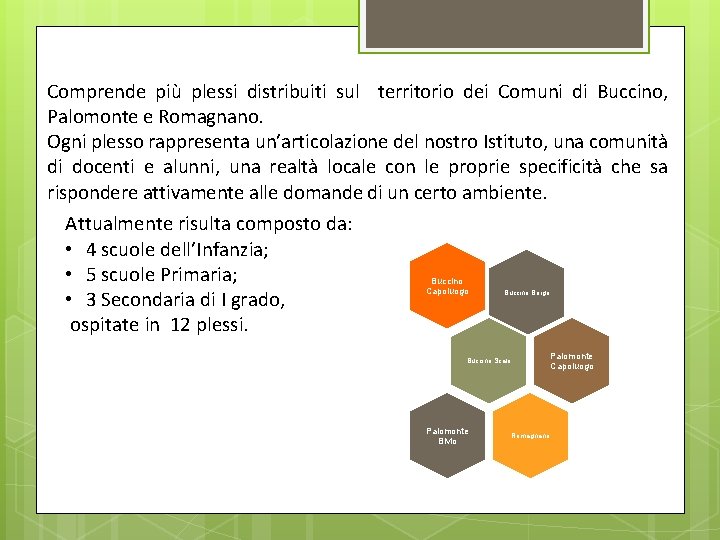 Comprende più plessi distribuiti sul territorio dei Comuni di Buccino, Palomonte e Romagnano. Ogni