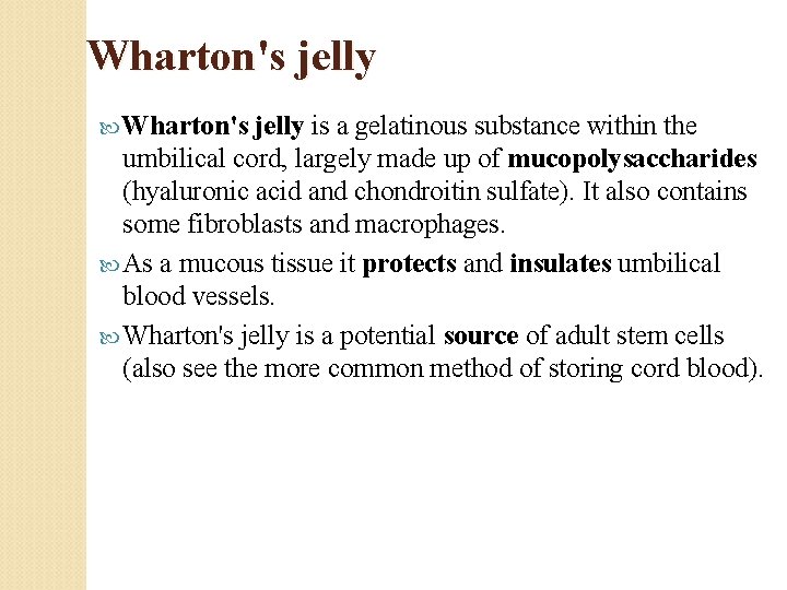 Wharton's jelly is a gelatinous substance within the umbilical cord, largely made up of