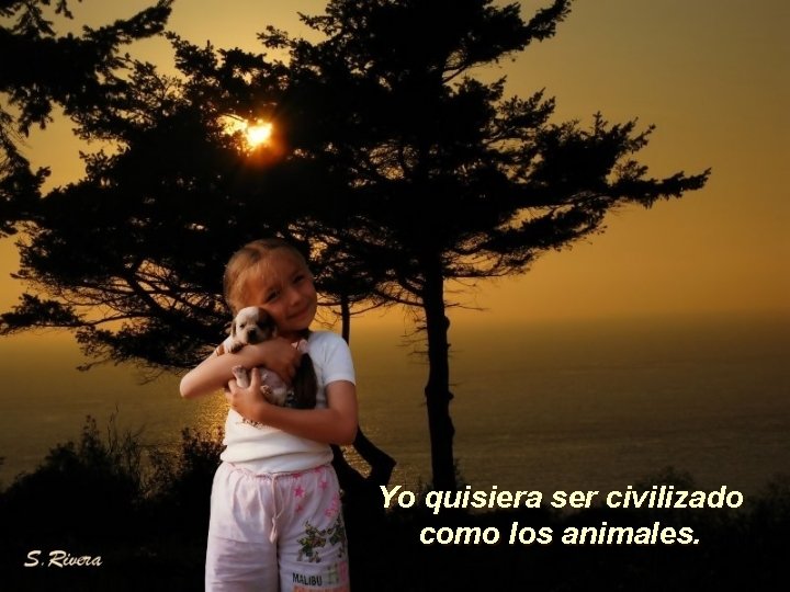 Yo quisiera ser civilizado como los animales. 