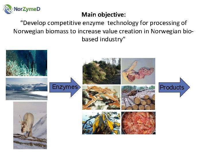 Main objective: “Develop competitive enzyme technology for processing of Norwegian biomass to increase value