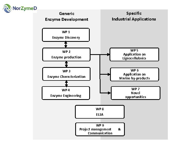 Specific Industrial Applications Generic Enzyme Development WP 1 Enzyme Discovery WP 5 Application on