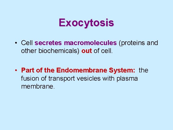 Exocytosis • Cell secretes macromolecules (proteins and other biochemicals) out of cell. • Part