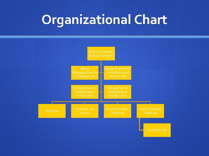 Organizational Chart Medical Director (Endocrinologist) Dietician Office Manager/Director of Operations Intake Staff (Part of