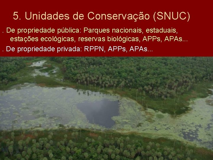 5. Unidades de Conservação (SNUC). De propriedade pública: Parques nacionais, estaduais, estações ecológicas, reservas