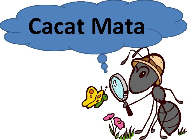 Cacat Mata 