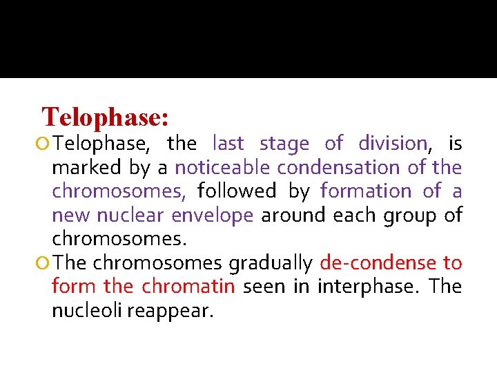 Telophase: Telophase, the last stage of division, is marked by a noticeable condensation of