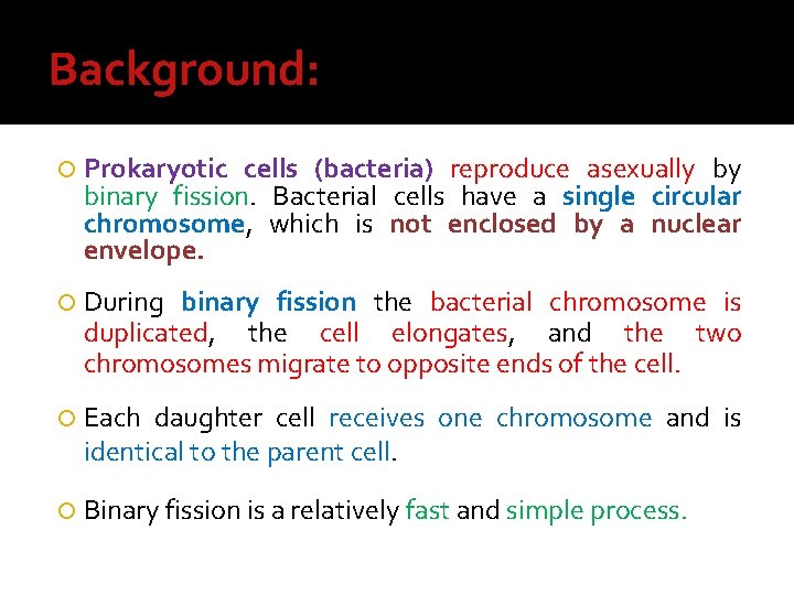 Background: Prokaryotic cells (bacteria) reproduce asexually by binary fission. Bacterial cells have a single