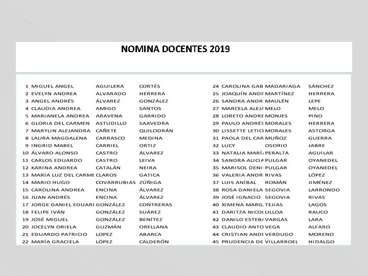 NOMINA DOCENTES 2019 