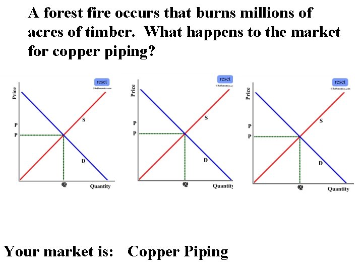 A forest fire occurs that burns millions of acres of timber. What happens to