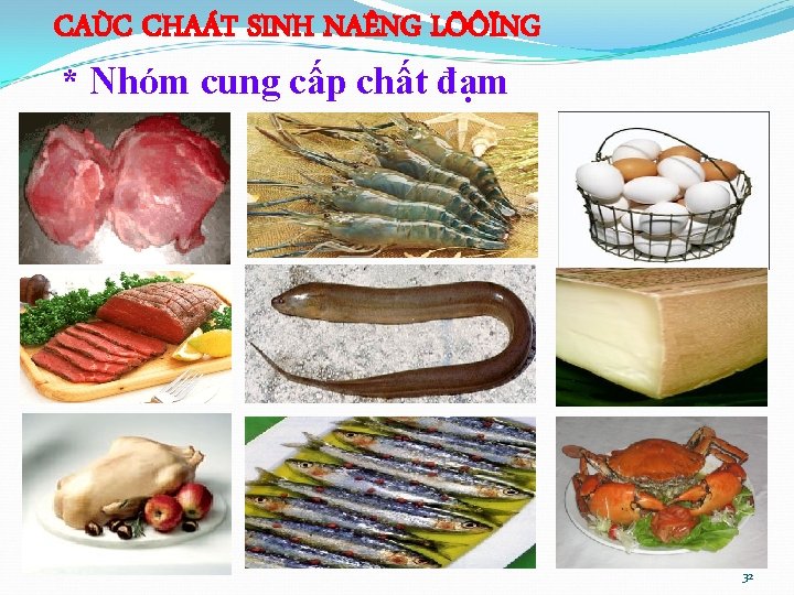 CAÙC CHAÁT SINH NAÊNG LÖÔÏNG * Nhóm cung cấp chất đạm 32 