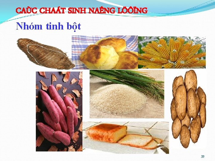 CAÙC CHAÁT SINH NAÊNG LÖÔÏNG Nhóm tinh bột 33 