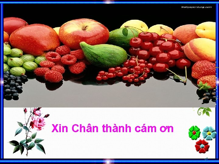 Xin Chân thành cám ơn 46 