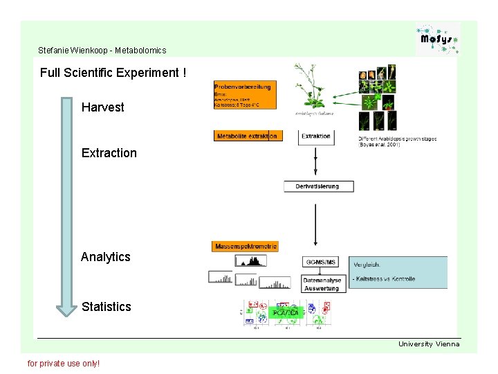 Stefanie Wienkoop - Metabolomics Full Scientific Experiment ! Harvest Extraction Analytics Statistics University Vienna