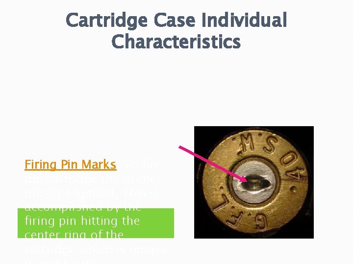Cartridge Case Individual Characteristics Firing Pin Marks: To fire the cartridge the primer must