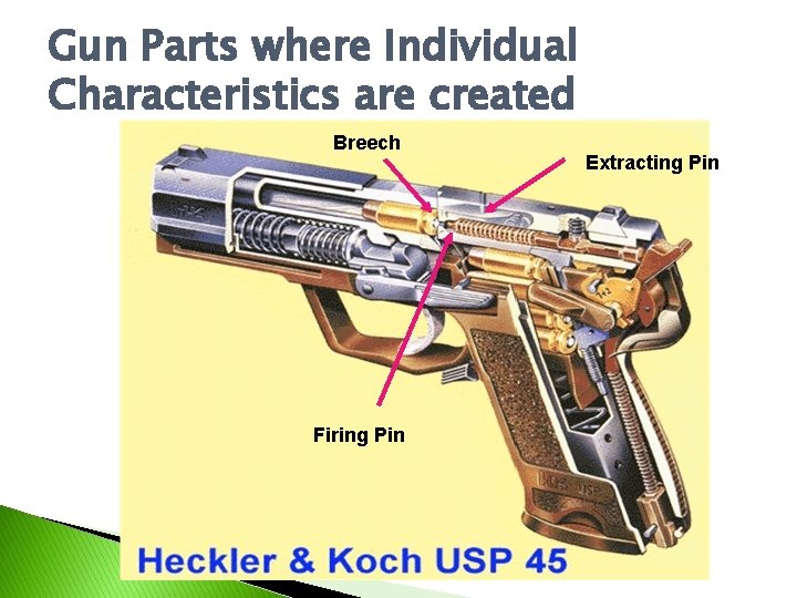 Gun Parts where Individual Characteristics are created Breech Firing Pin Extracting Pin 